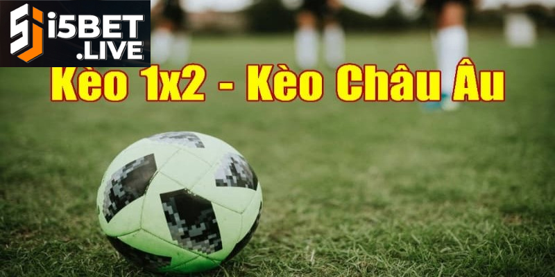 Cách Đọc Kèo Chấp 1/2 Bóng Đá Và Chiến Thuật Để Thắng Cập nhật tỷ lệ kèo chấp 1/2 từ các giải đấu bóng đá lớn