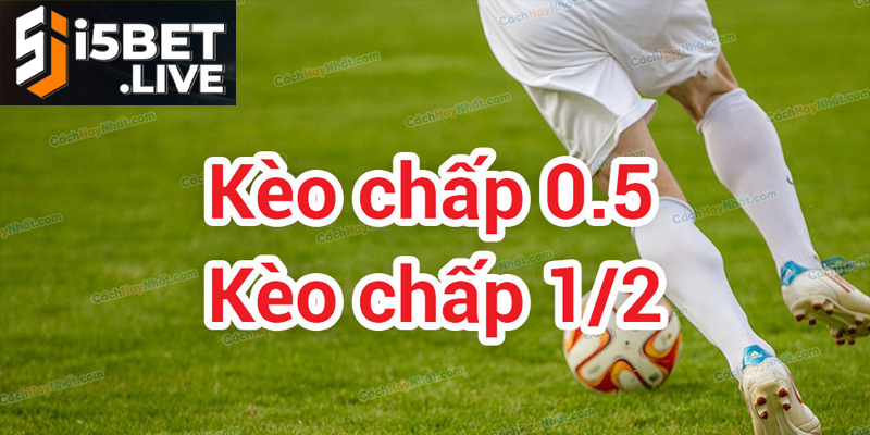 Cách Đọc Kèo Chấp 1/2 Bóng Đá Và Chiến Thuật Để Thắng Phân tích chi tiết kèo chấp 1/2 trong cá cược bóng đá hiện đại