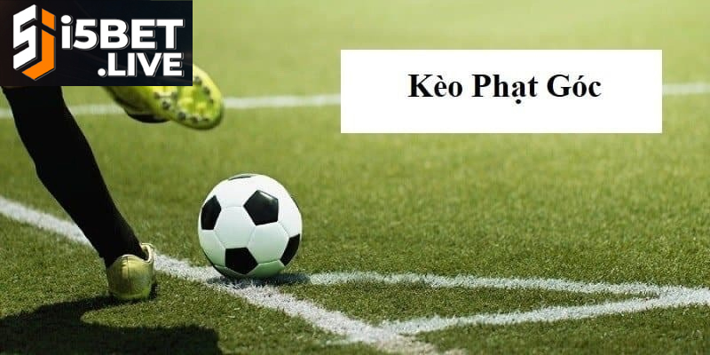 Kèo Phạt Góc Trong Cá Cược Bóng Đá Và Cách Chơi Hiệu Quả Nhận định chuyên sâu về chiến thuật chơi kèo phạt góc hiệu quả