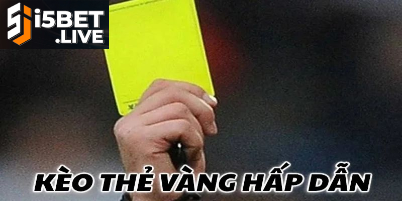 the vang 4